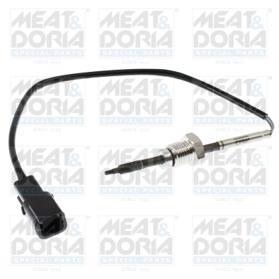 Sensor, exhaust gas temperature